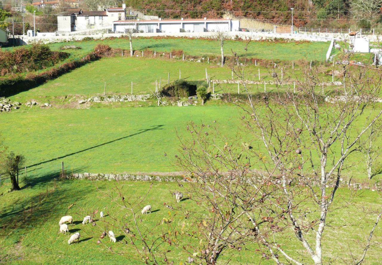 Campo Seco Villa Vieira do Minho Exterior photo